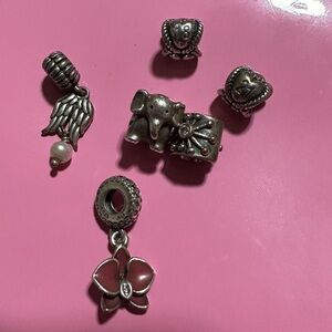 Pandora charms
